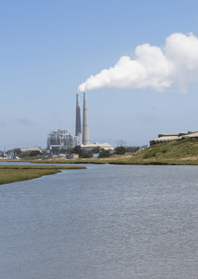 moss-landing